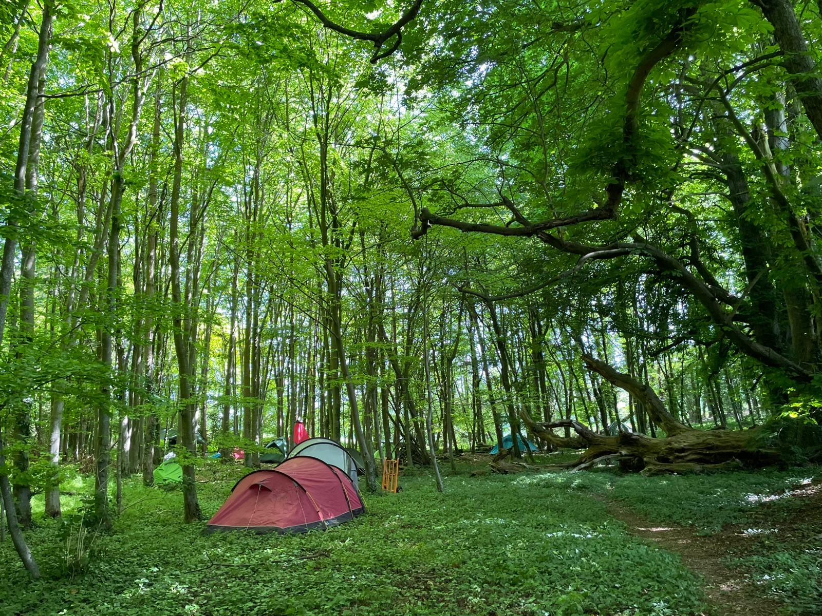 Spring fast 26th - 30th May 2027