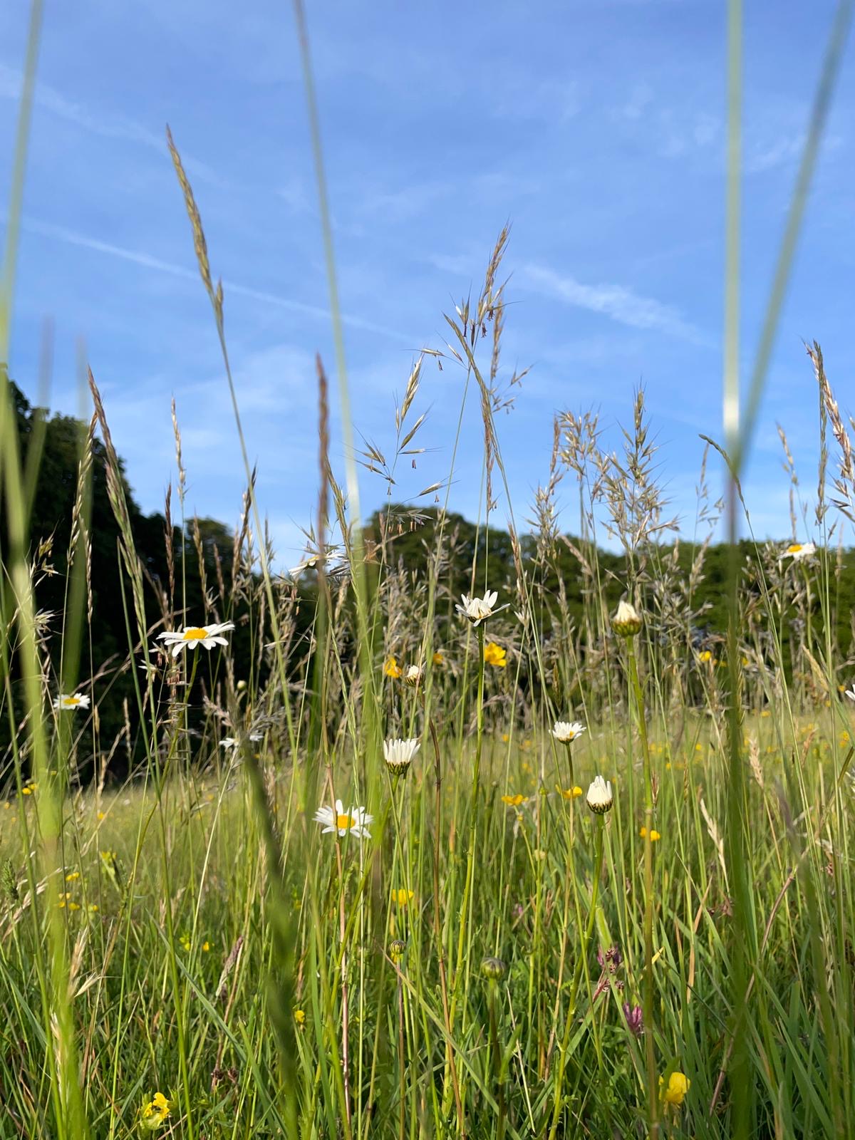 Spring fast 26th - 30th May 2027