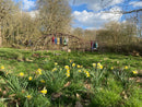 Spring fast 20th - 24th May 2026