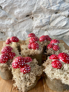 Festive mushrooms
